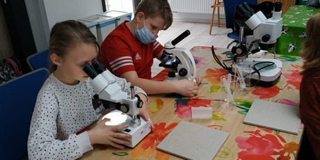 Powiększ grafikę: Uczniowie podczas warsztatów, obserwują preparaty pod mikroskopem. 