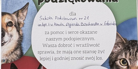 Finał zimowej zbiórki dla schroniska Promyk
