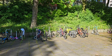 Powiększ grafikę: rowerowy-maj-615379.jpg