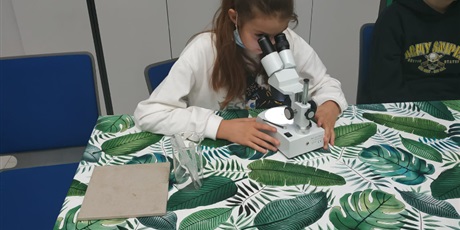 Powiększ grafikę: Uczennica klasy IV obserwuje preparaty pod mikroskopem.