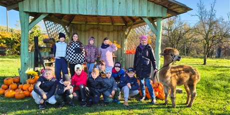 Powiększ grafikę: wycieczka-klasy-iv-do-alpaka-team-649047.jpg