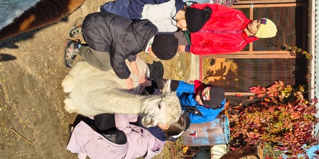 Powiększ grafikę: wycieczka-klasy-iv-do-alpaka-team-649050.jpg