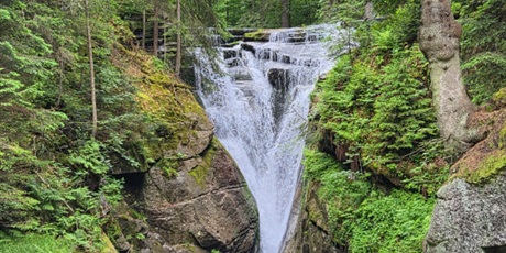 Powiększ grafikę: wycieczka-klasy-viii-704775.jpg